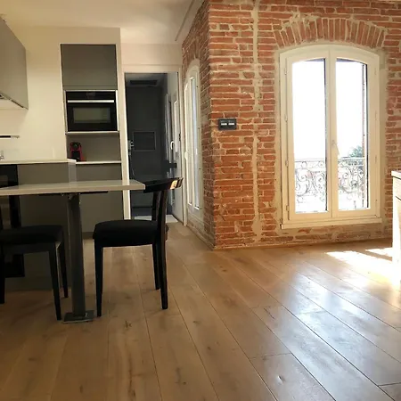 Le Nid - Centre - Capitole- Climatise Toulouse