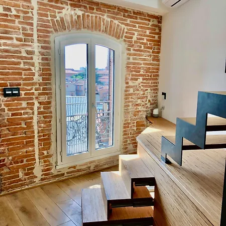 Le Nid - Centre - Capitole- Climatise Apartment