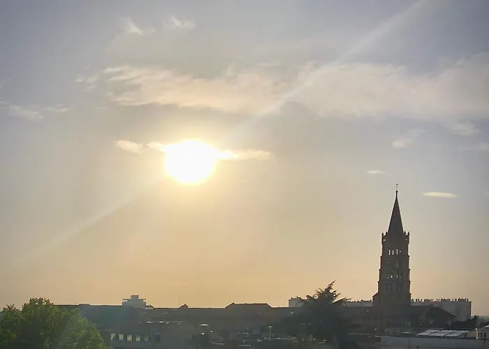 Le Nid - Centre - Capitole- Climatise