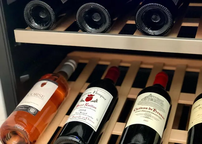 Le Nid - Centre - Capitole- Climatise * トゥールーズ